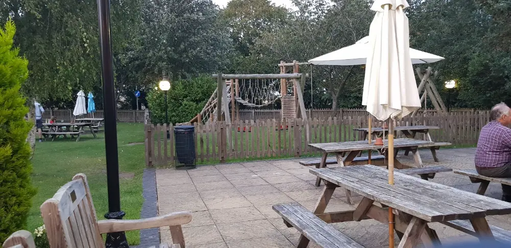The White Swan - Image 1