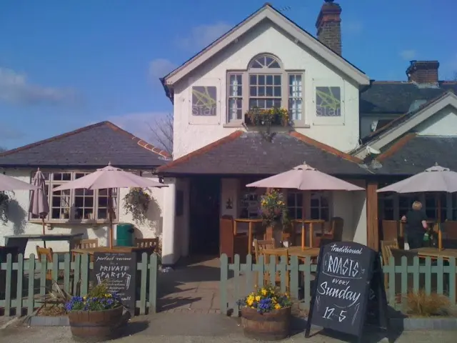 The Star, Malden Rushett, Leatherhead: playground, kids menu and dogs